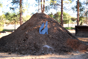 Pile of Mulch