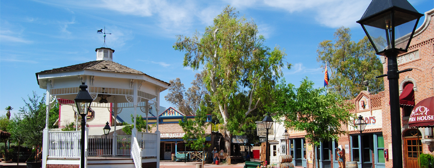 Tree Removal Tucson Picture